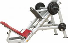 Power Leg Press