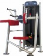 Triceps Machine