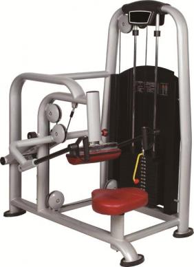 Triceps Machine